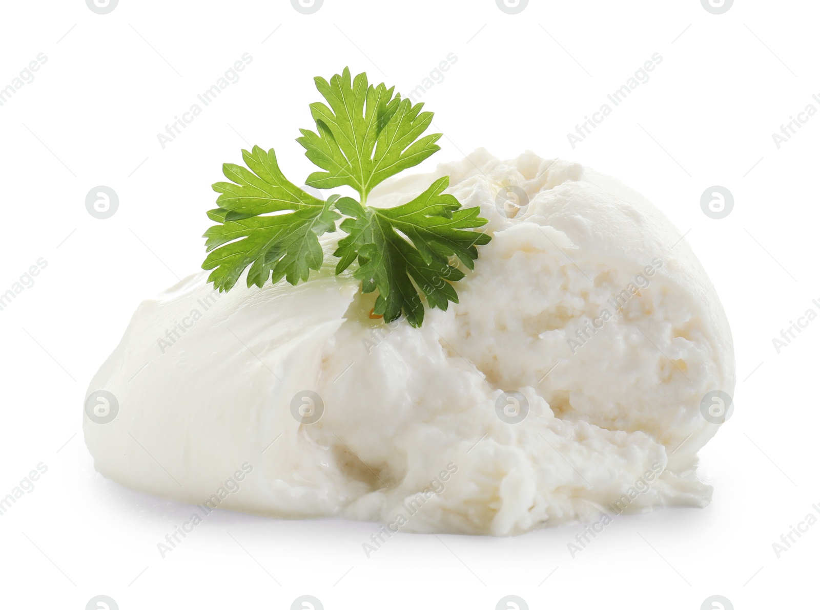 Photo of Delicious burrata cheese and parsley isolated on white