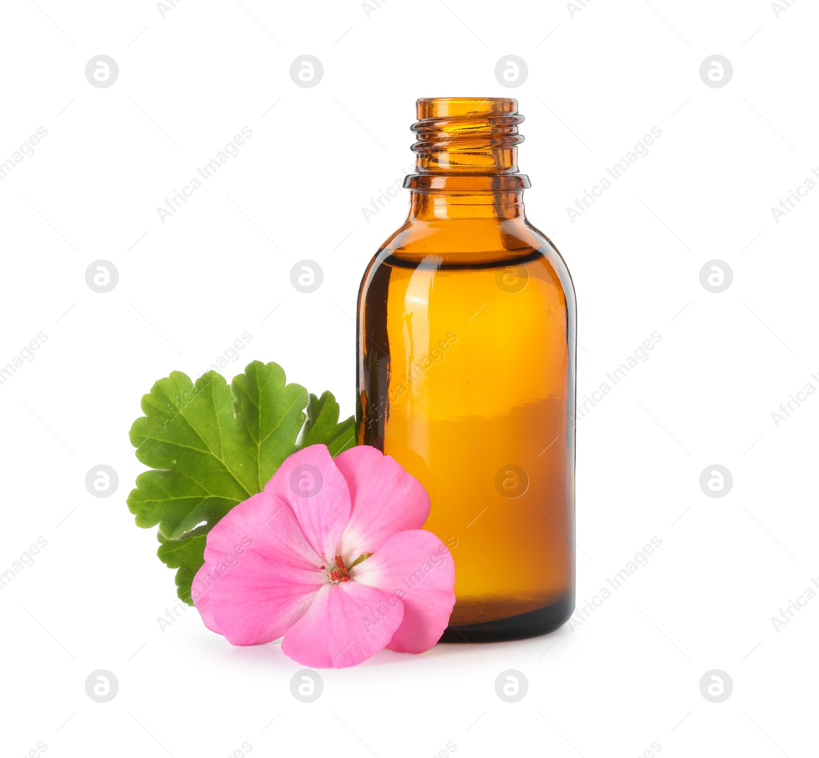 Photo of Geranium essential oil in bottle and beautiful flower isolated on white