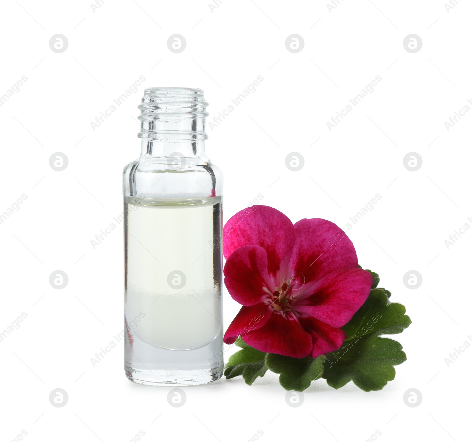 Photo of Geranium essential oil in bottle and beautiful flower isolated on white