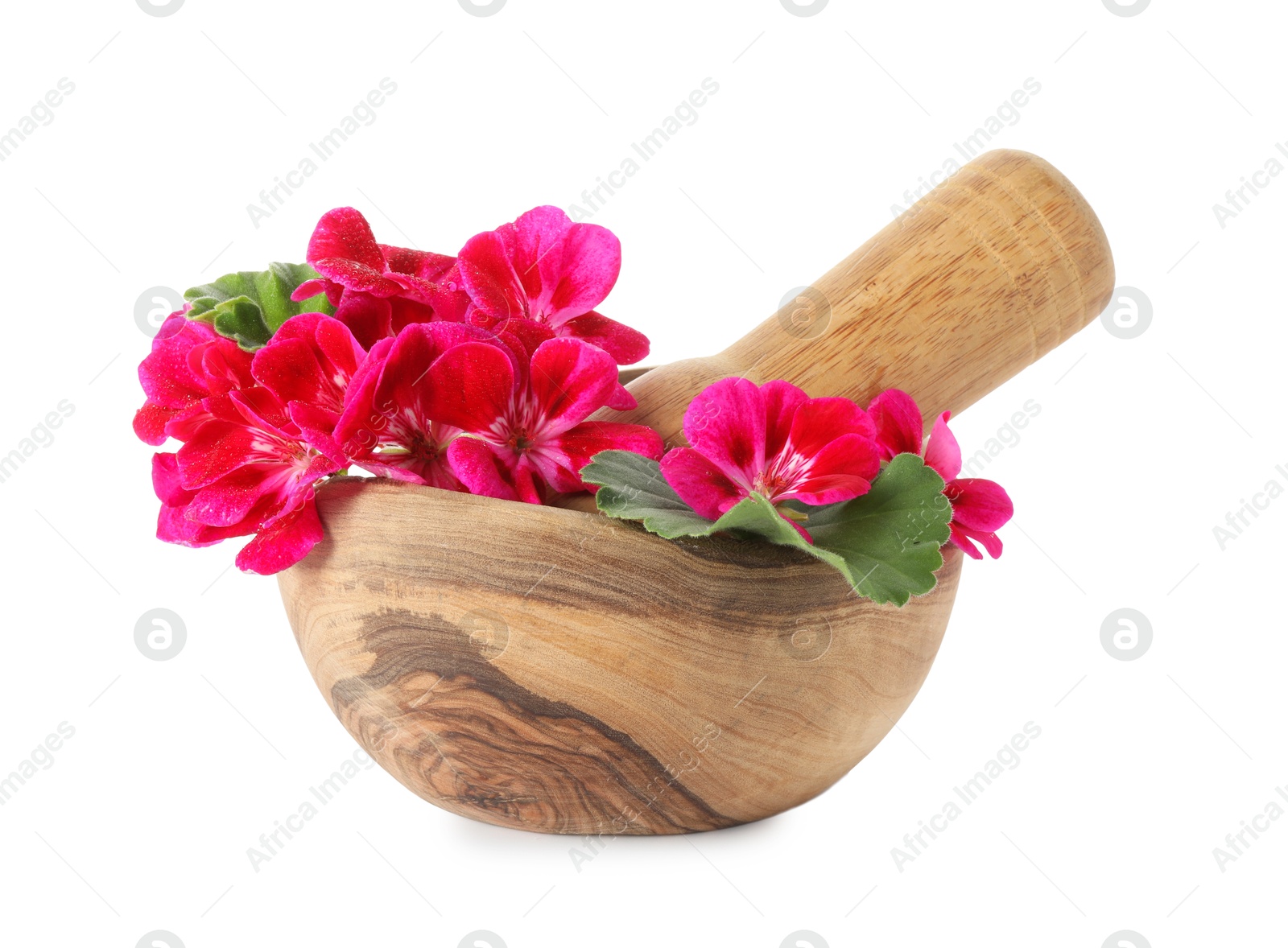 Photo of Geranium flowers, mortar and pestle isolated on white. Ingredient for essential oil