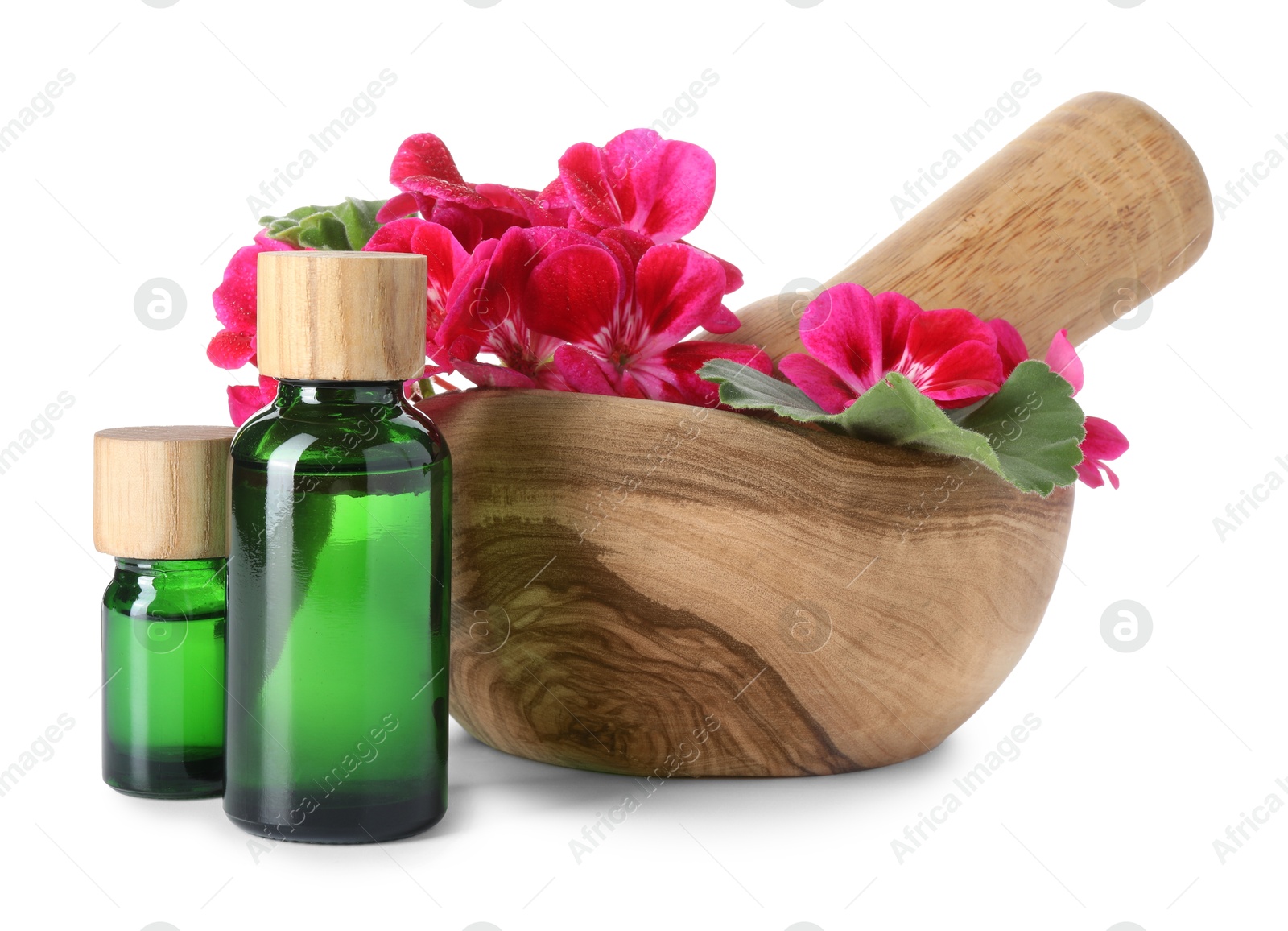 Photo of Geranium essential oil in bottles, beautiful flowers, mortar and pestle isolated on white