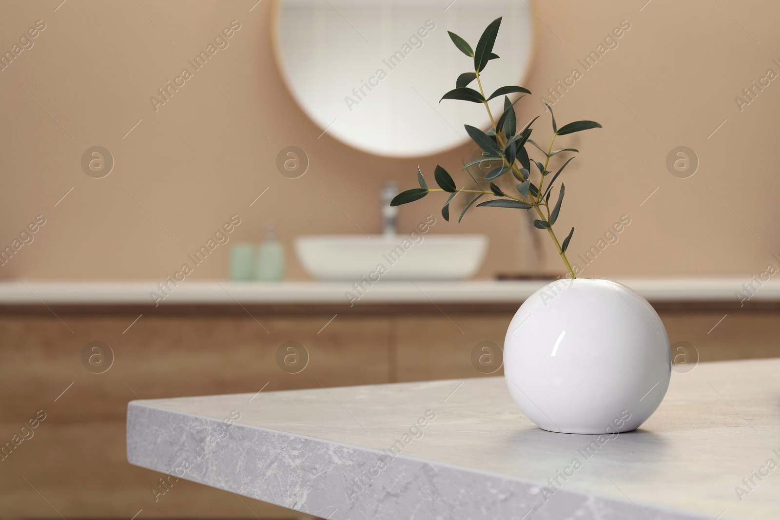 Photo of Round vase with green twig on table in bathroom. Space for text