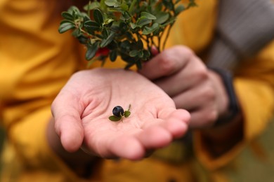 Photo of Woman holding tasty wild bilberry and leaves outdoors, closeup