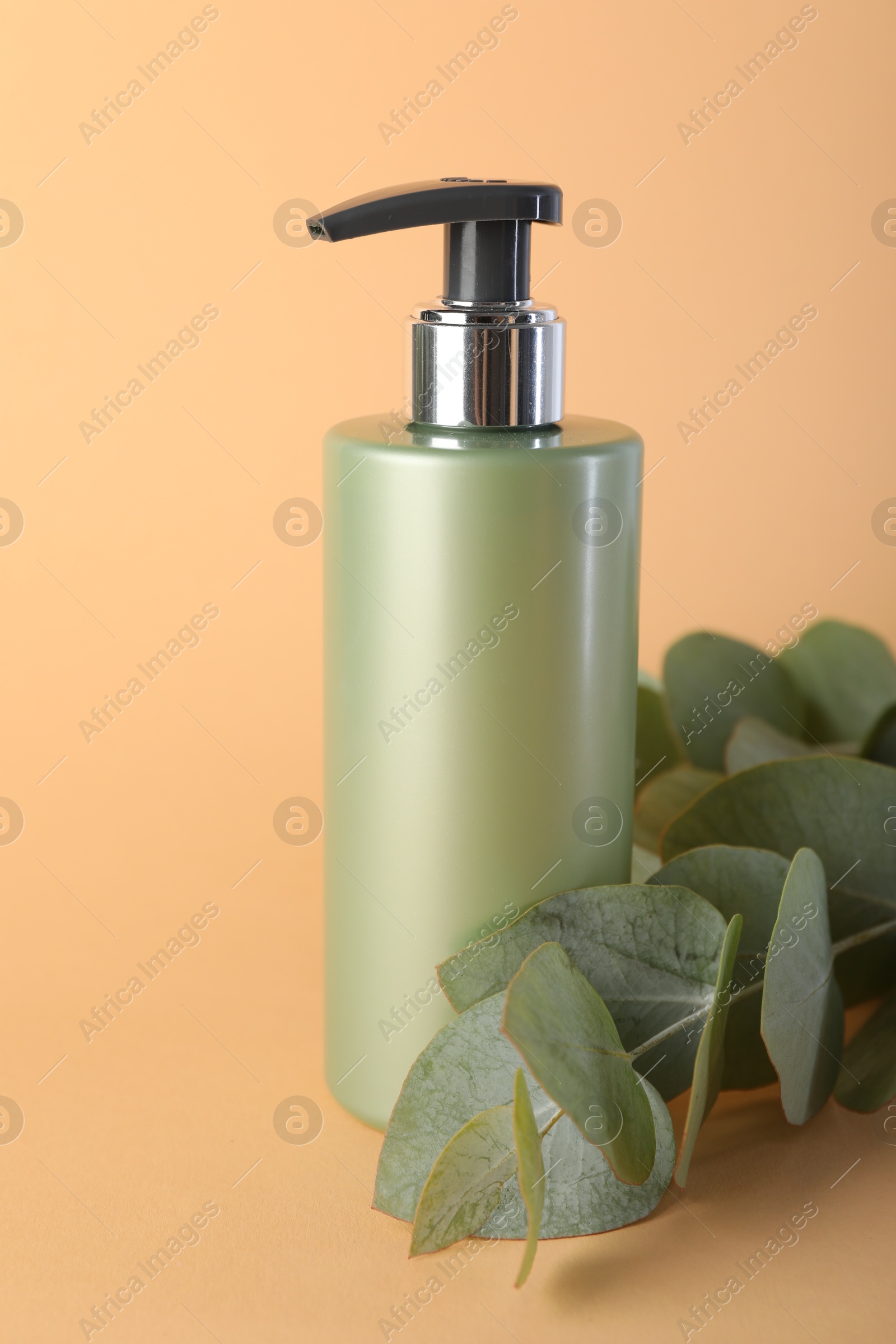 Photo of Shampoo in bottle and green eucalyptus leaves on pale orange background