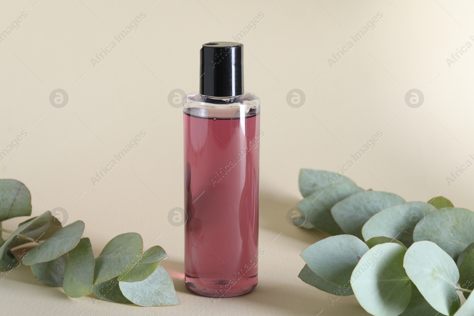 Photo of Shampoo in bottle and green eucalyptus leaves on beige background