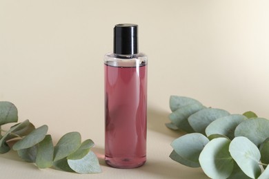 Photo of Shampoo in bottle and green eucalyptus leaves on beige background