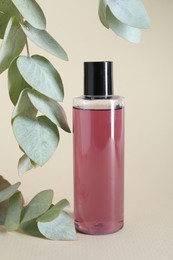 Shampoo in bottle and green eucalyptus leaves on beige background