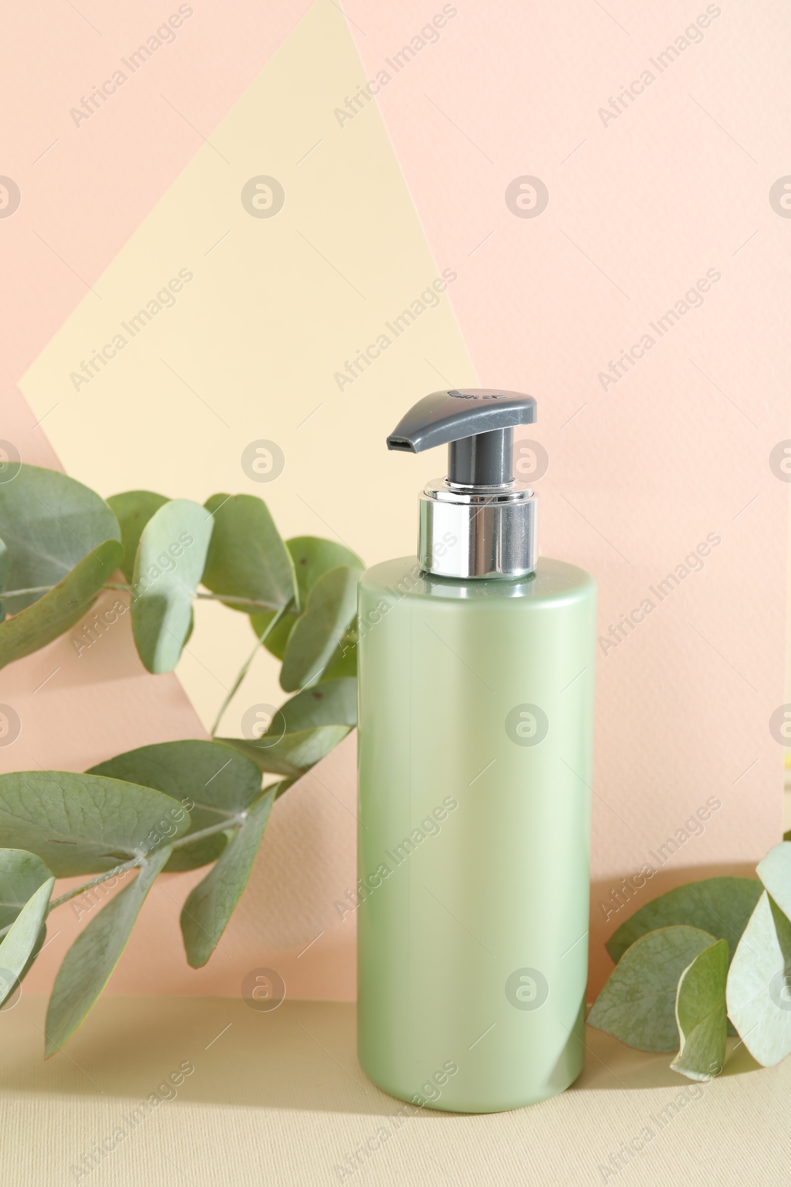 Photo of Shampoo in bottle and green eucalyptus leaves on color background