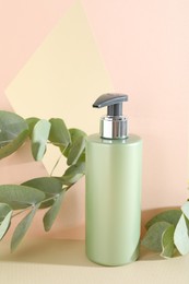 Shampoo in bottle and green eucalyptus leaves on color background