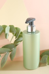 Shampoo in bottle and green eucalyptus leaves on color background