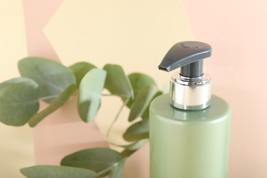 Shampoo in bottle and green eucalyptus leaves on color background, closeup