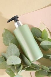 Photo of Shampoo in bottle and eucalyptus leaves on color background, top view