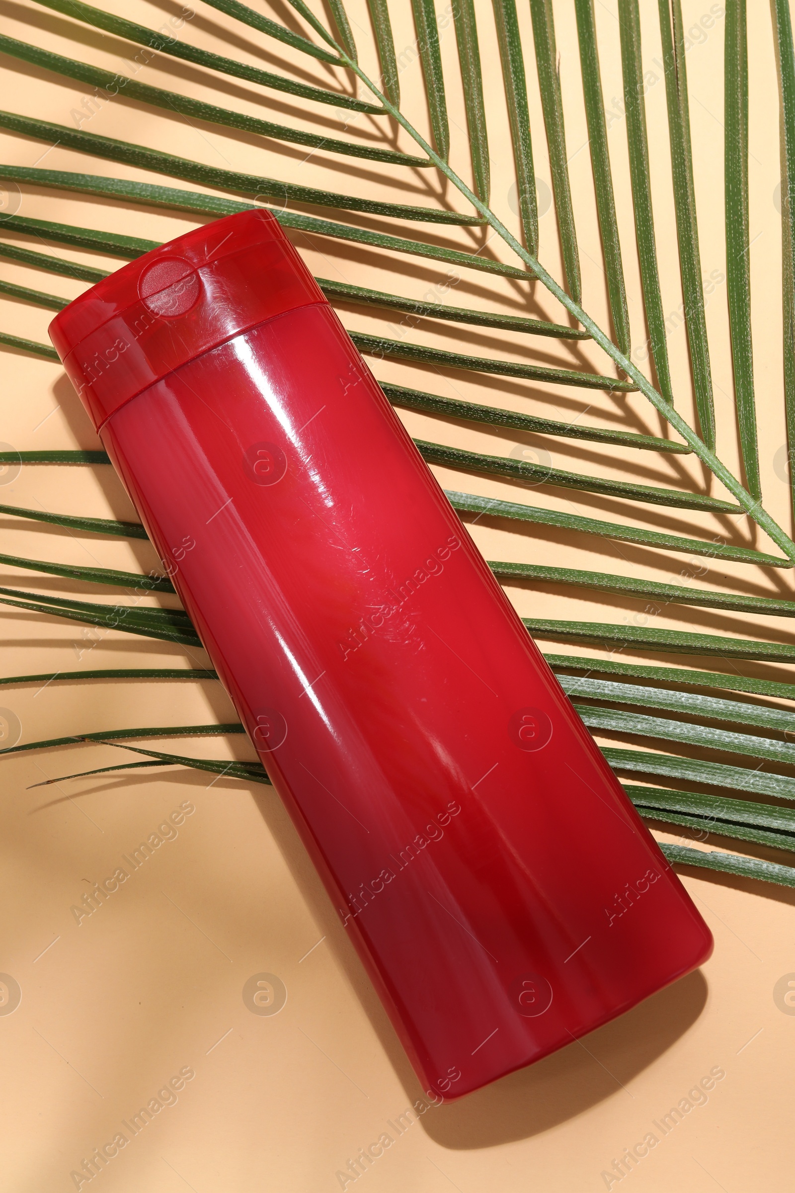 Photo of Shampoo in bottle and palm leaf on pale orange background, top view