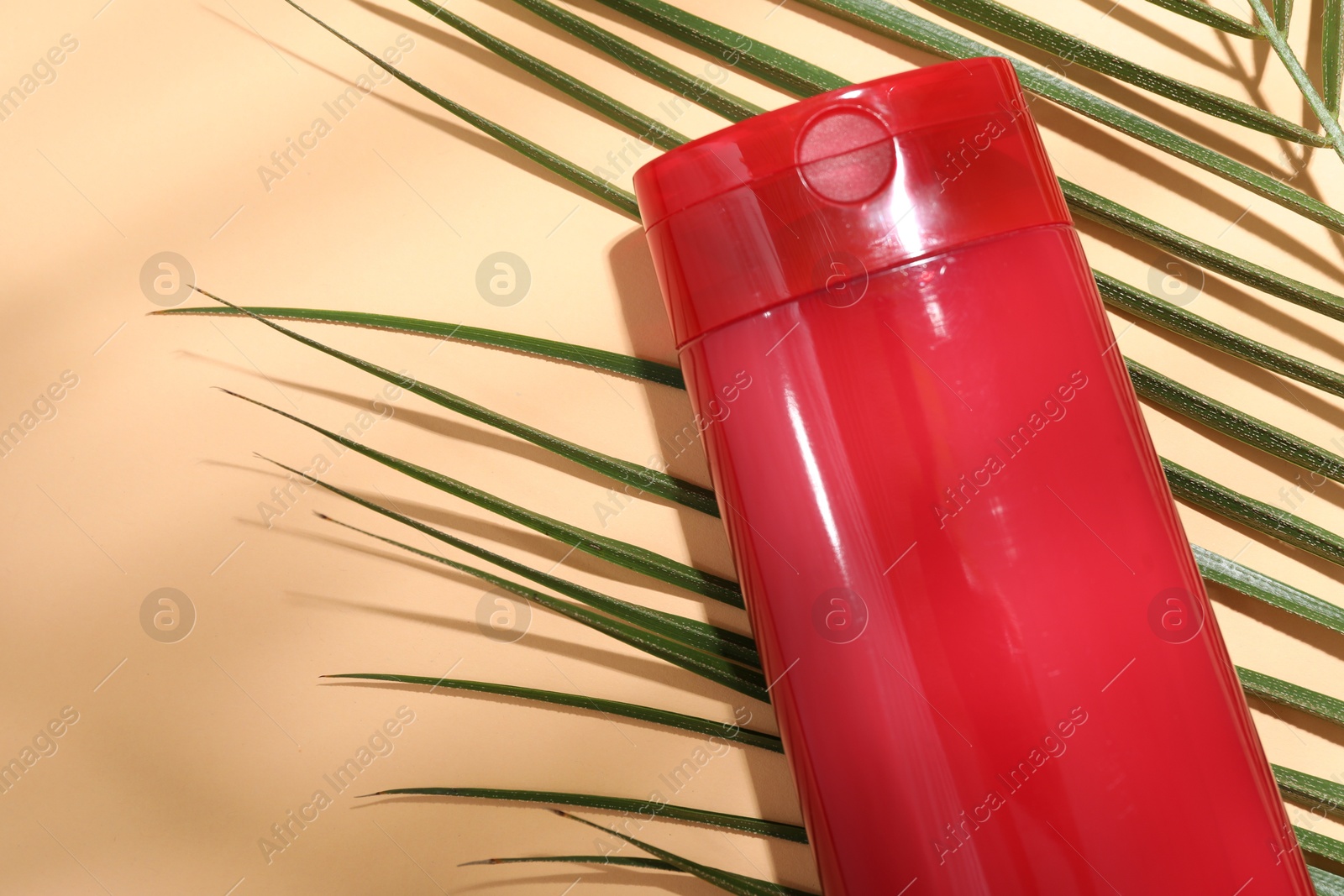 Photo of Shampoo in bottle and palm leaf on pale orange background, top view