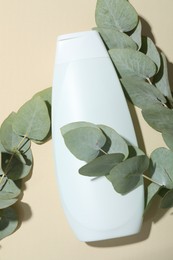 Shampoo in bottle and green eucalyptus leaves on beige background, top view