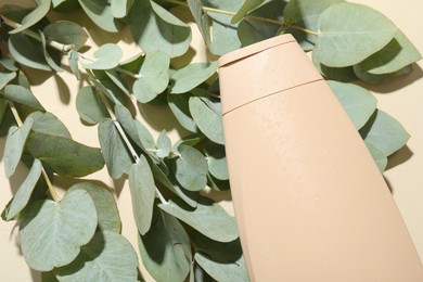 Photo of Shampoo in bottle and eucalyptus leaves on beige background, top view