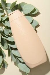 Photo of Shampoo in bottle and eucalyptus leaves on beige background, top view