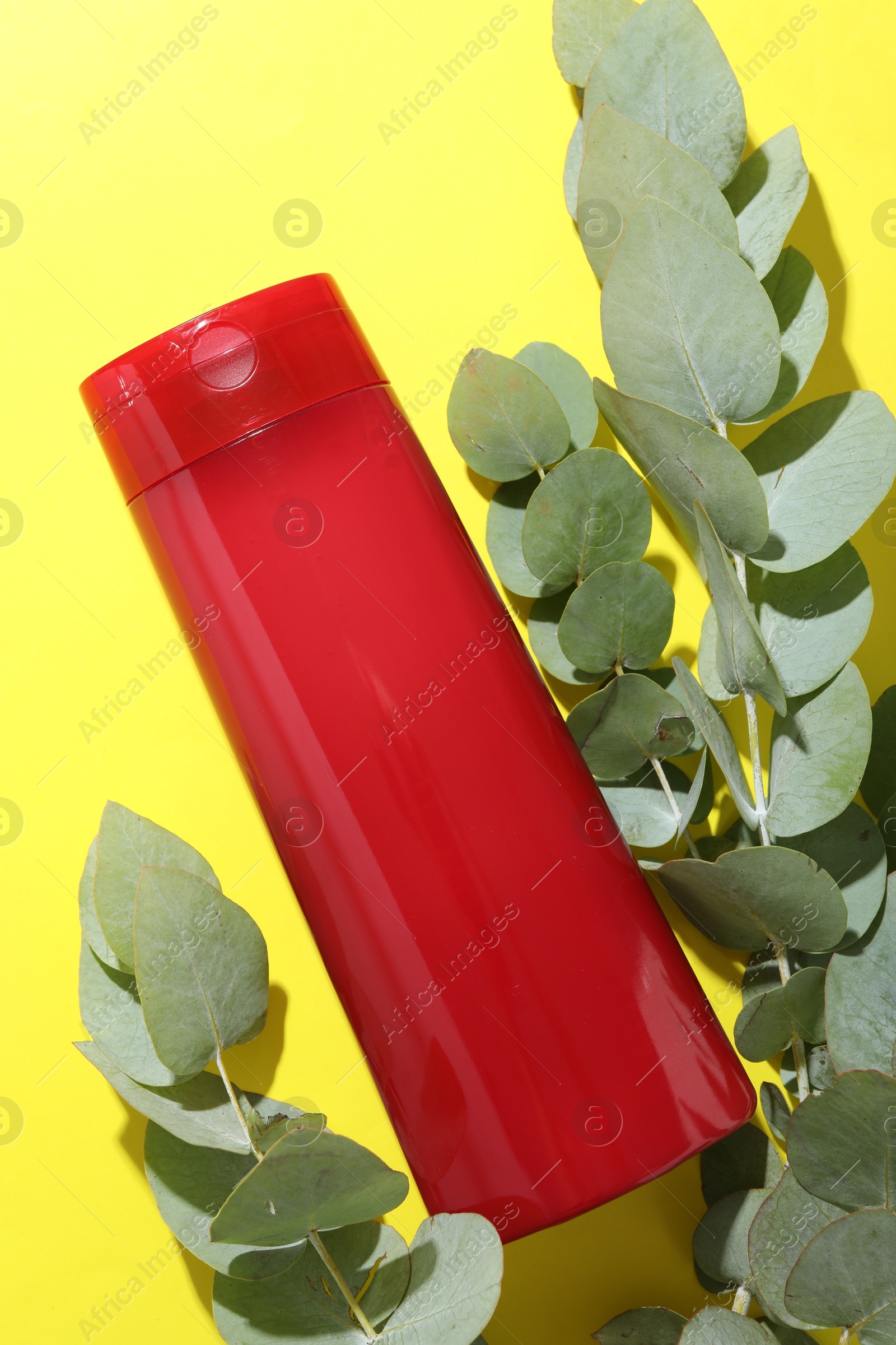 Photo of Shampoo in bottle and eucalyptus leaves on yellow background, top view