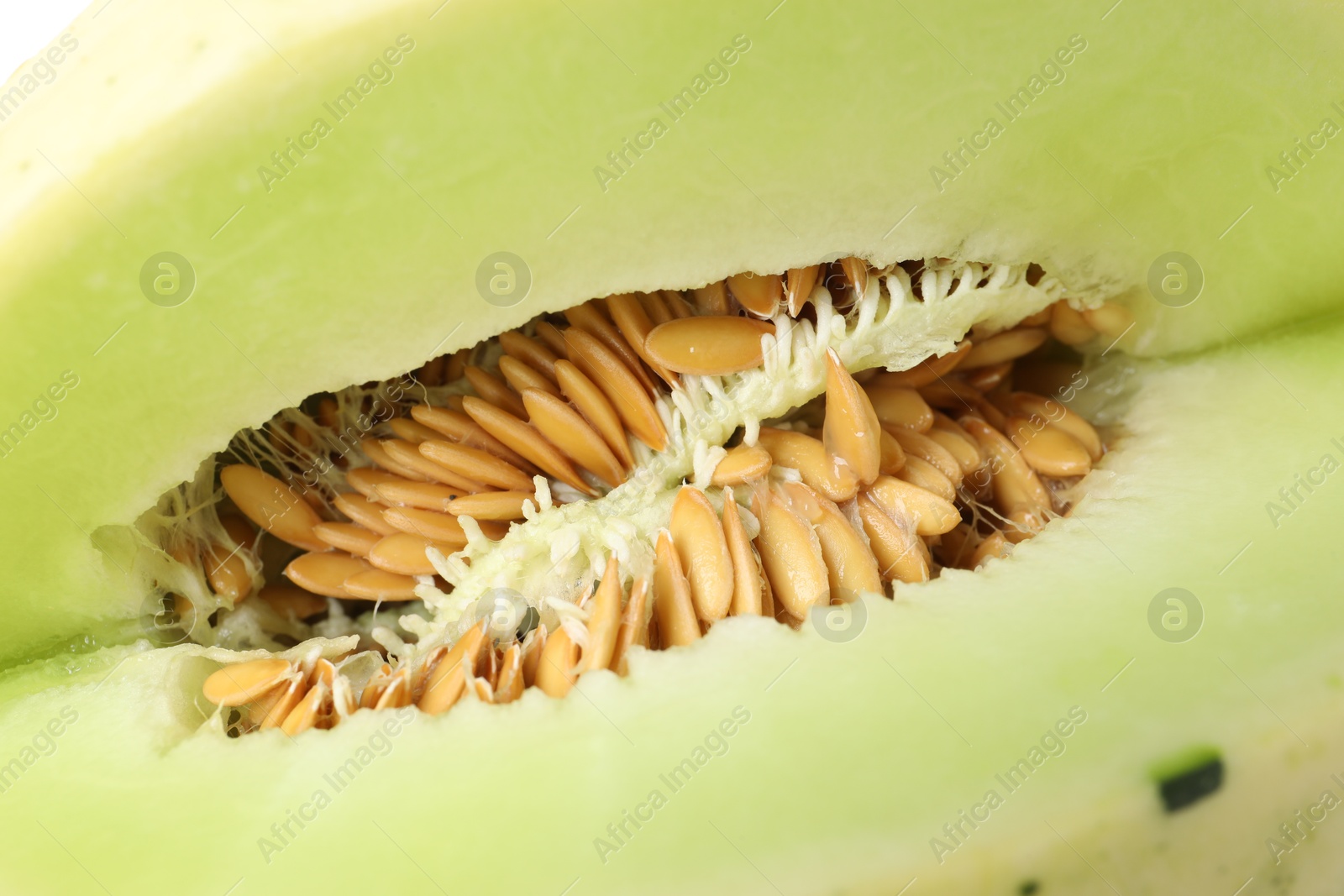 Photo of Cut fresh ripe honeydew melon as background, closeup