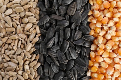 Photo of Different sunflower seeds and corn kernels as background, top view