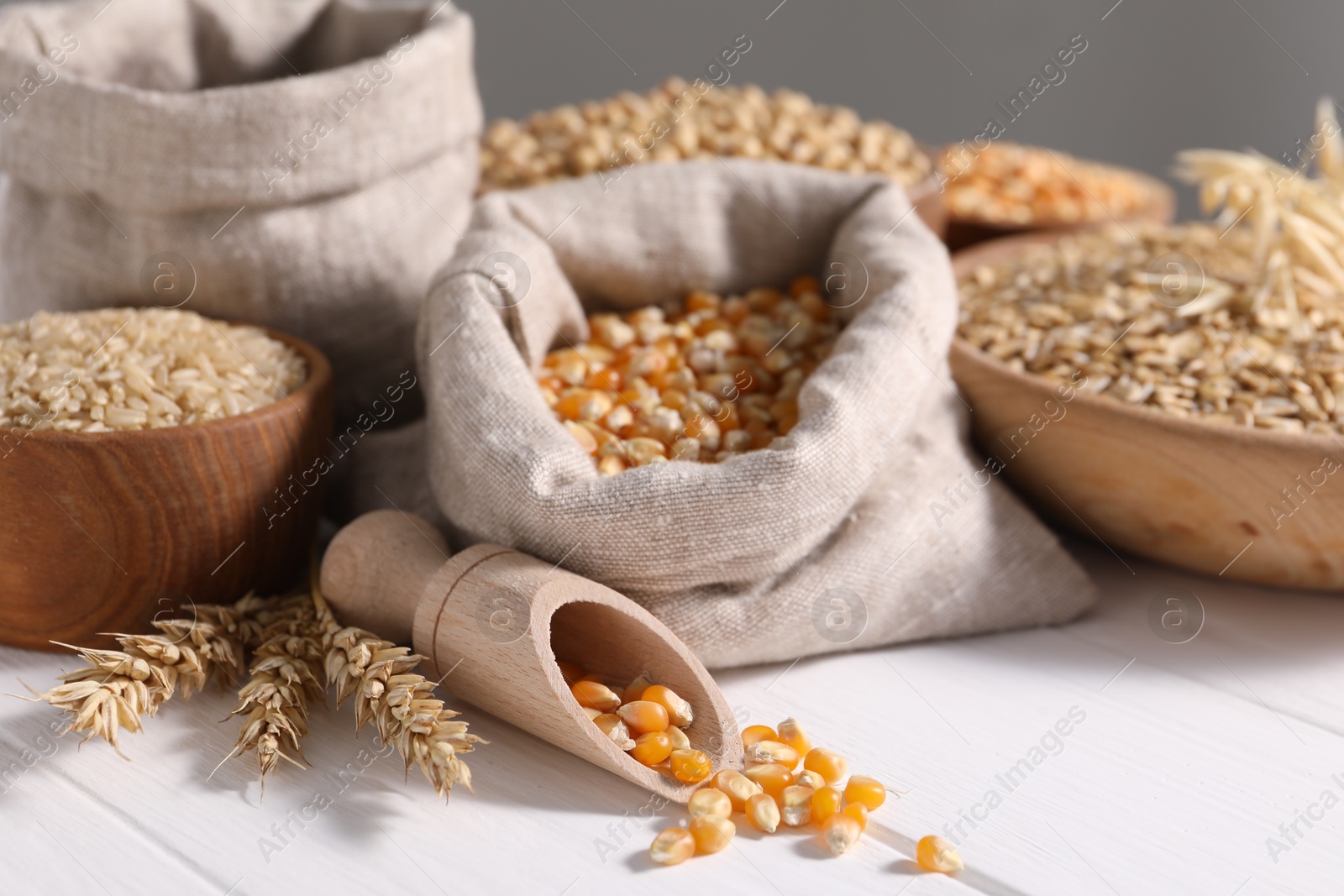 Photo of Different types of cereals and legumes on white wooden table