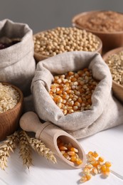 Photo of Different types of cereals and legumes on white wooden table