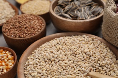 Photo of Different types of cereals and seeds on grey table, closeup