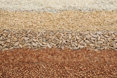 Photo of Different types of cereals and seeds on table, flat lay