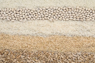 Photo of Different types of cereals, legumes and seeds on table, flat lay