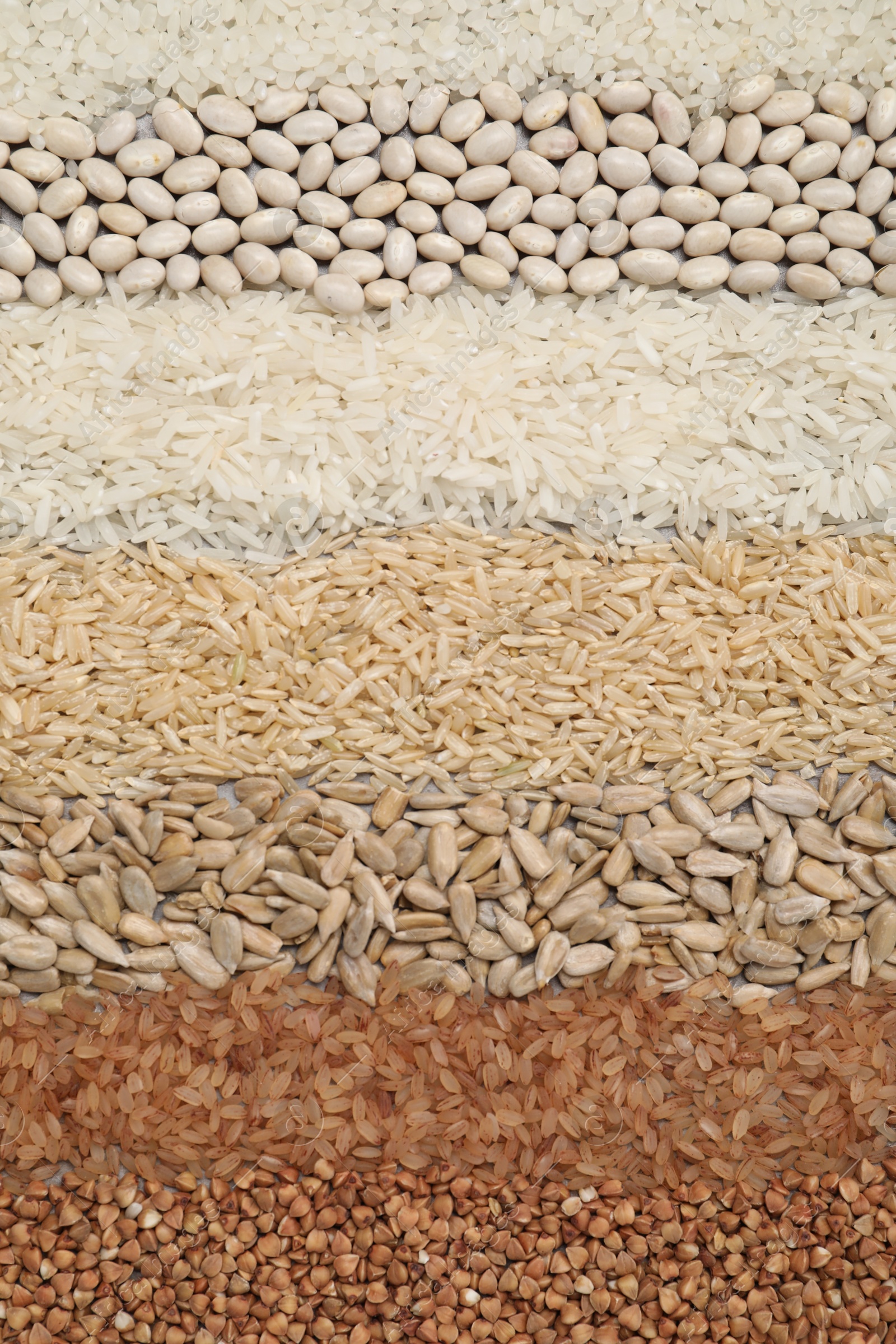 Photo of Different types of cereals, legumes and seeds on table, flat lay