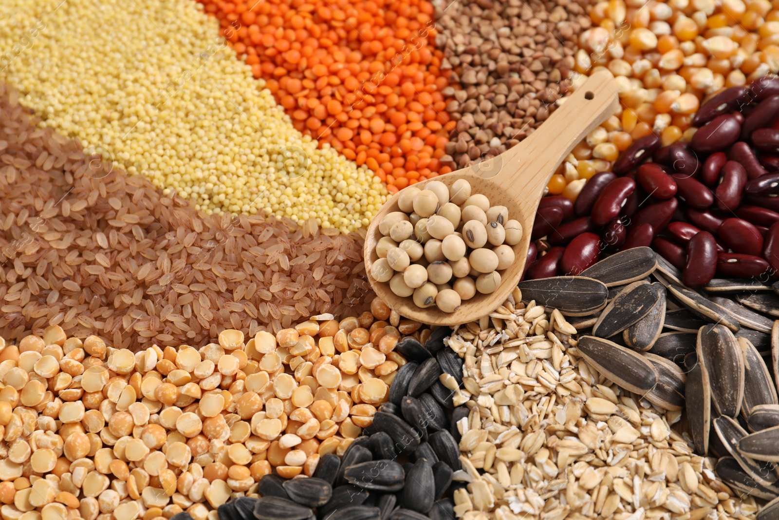 Photo of Different types of cereals, legumes and seeds with spoon on table, closeup