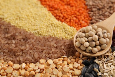 Photo of Different types of cereals, legumes and seeds with spoon on table, closeup