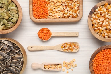 Photo of Different types of seeds and legumes on white wooden table, flat lay