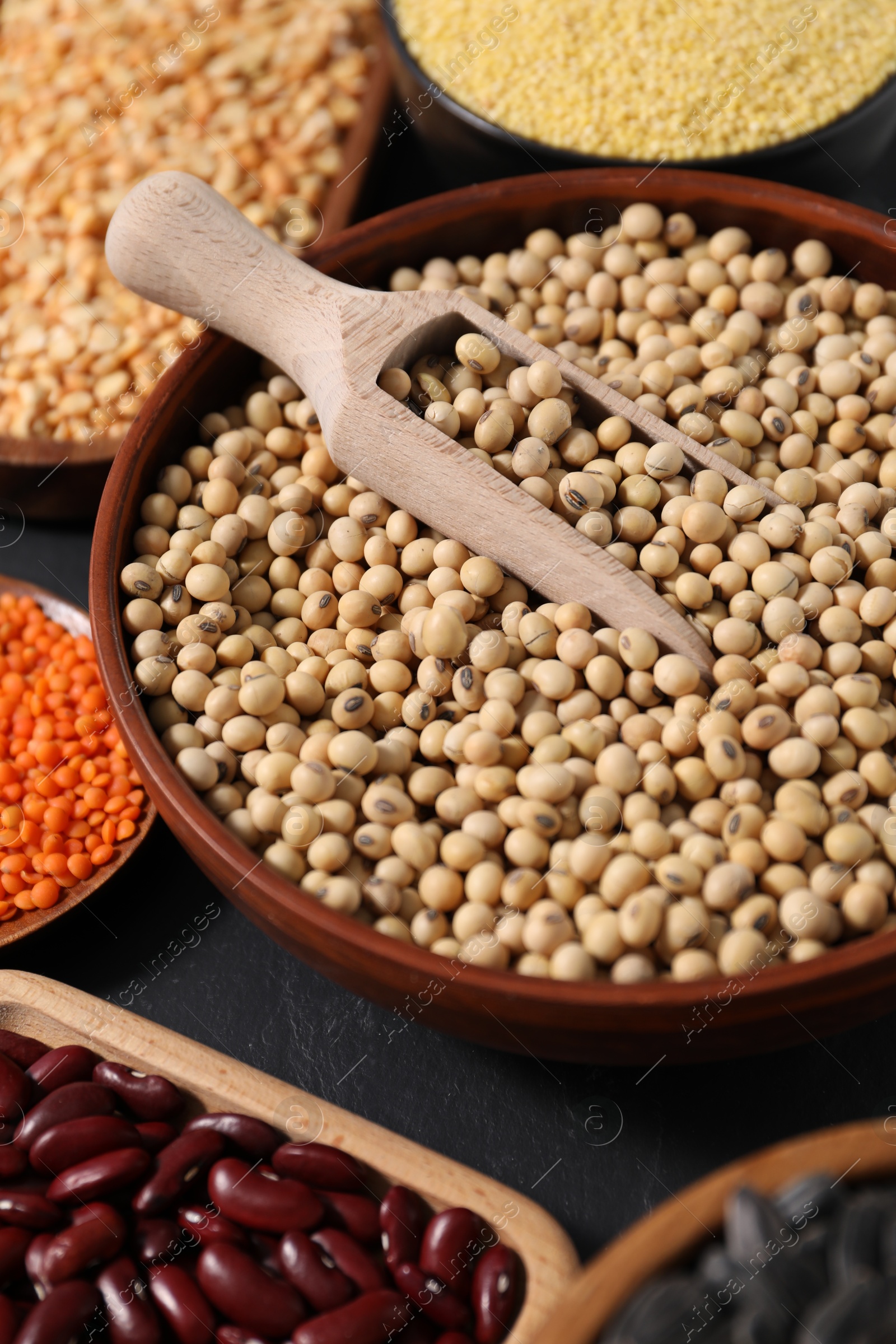 Photo of Different types of legumes and cereals on grey table, closeup