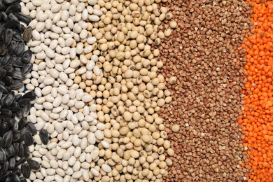 Photo of Different types of cereals, legumes and seeds as background, top view