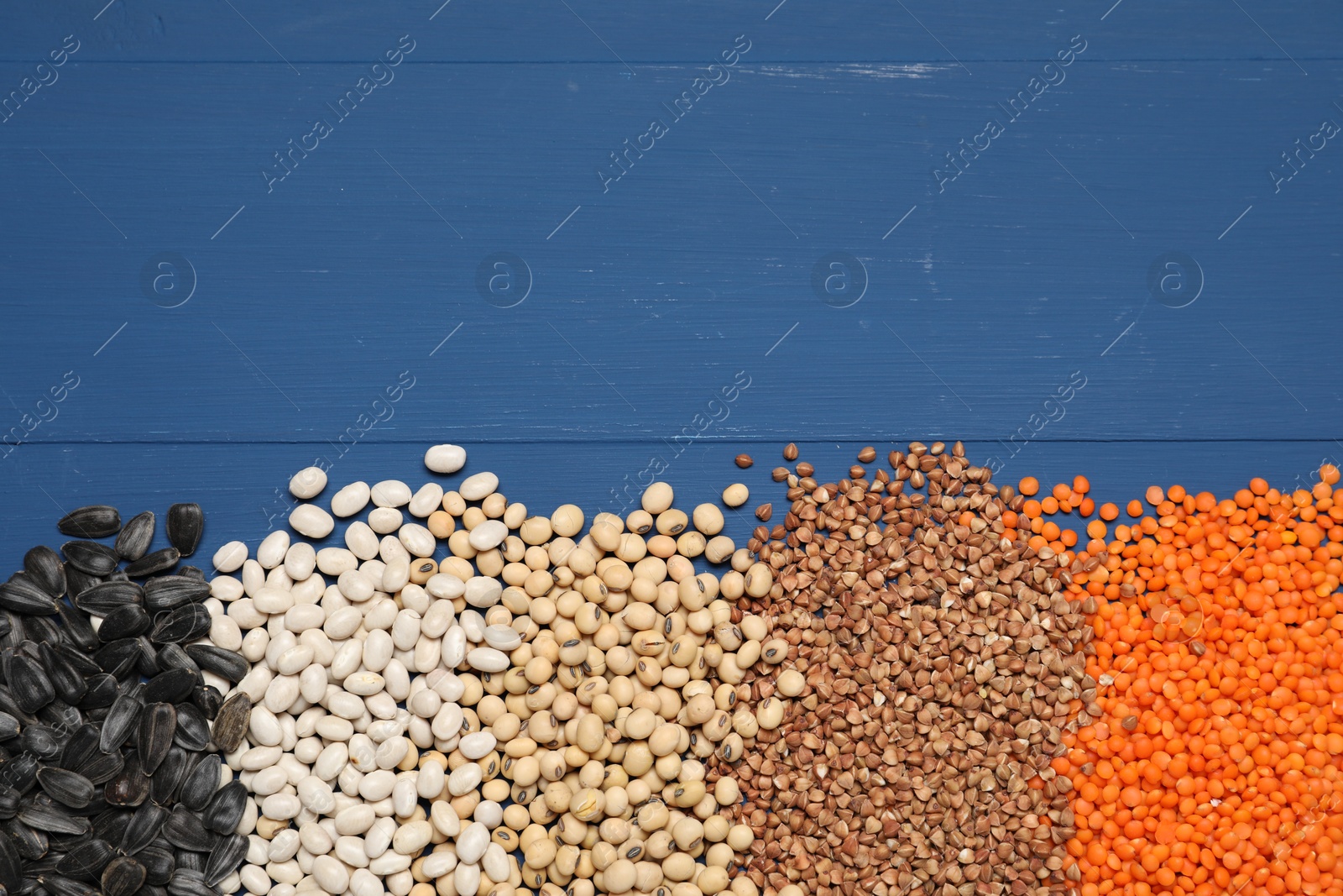 Photo of Different types of cereals, legumes and seeds on blue wooden table, flat lay. Space for text