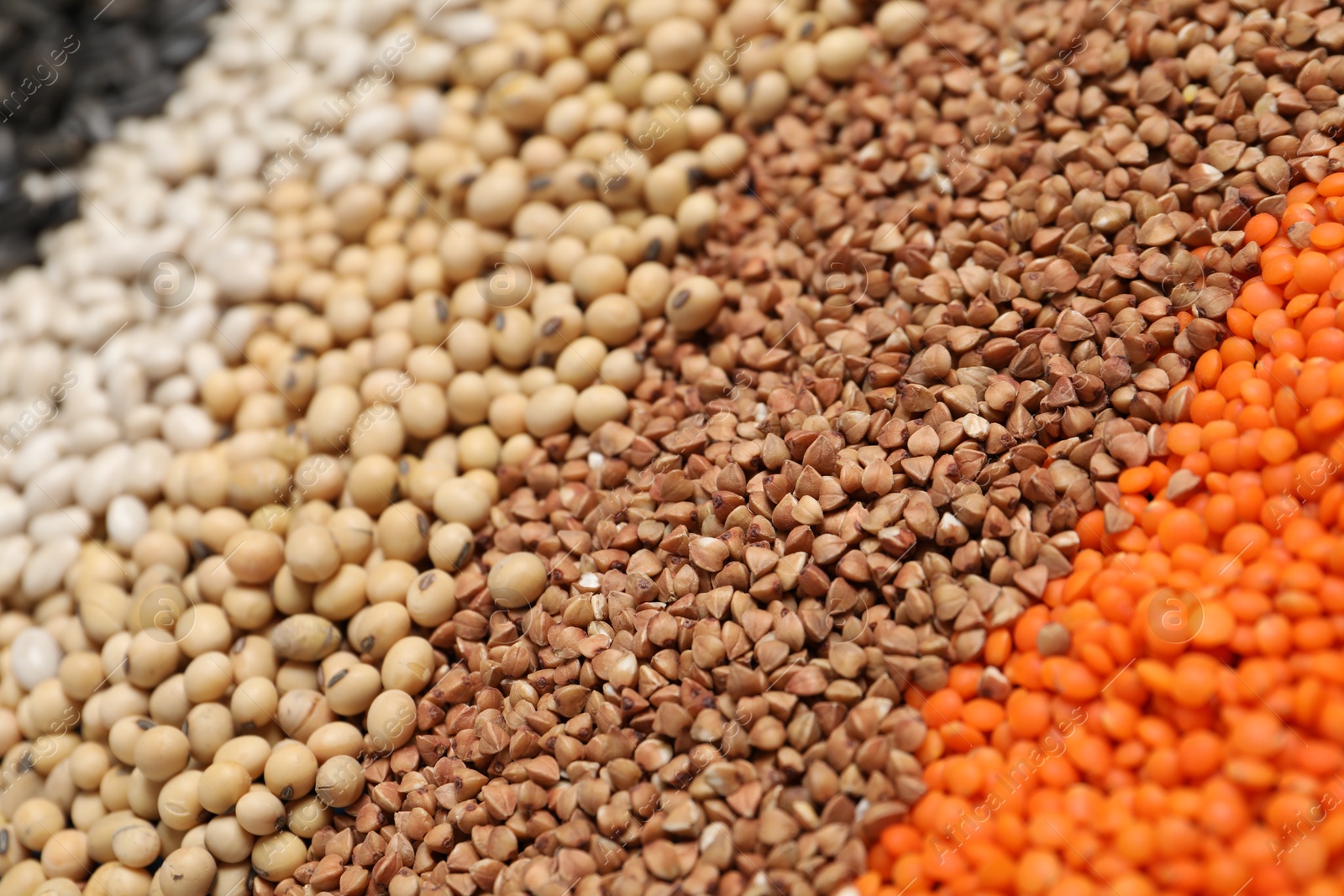 Photo of Different types of cereals, legumes and seeds as background, closeup