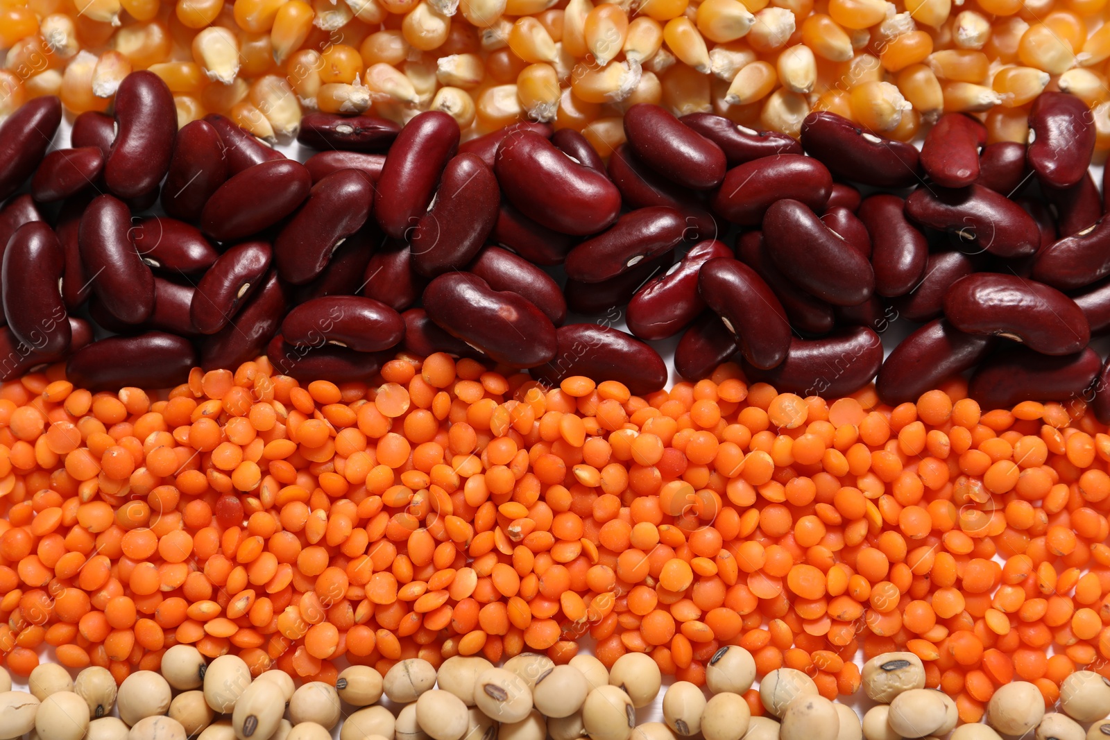 Photo of Different types of legumes on white table, flat lay