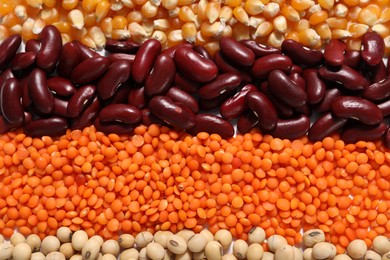 Photo of Different types of legumes on white table, flat lay