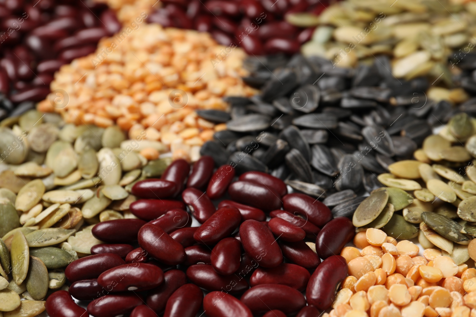 Photo of Different types of legumes and seeds on table, closeup