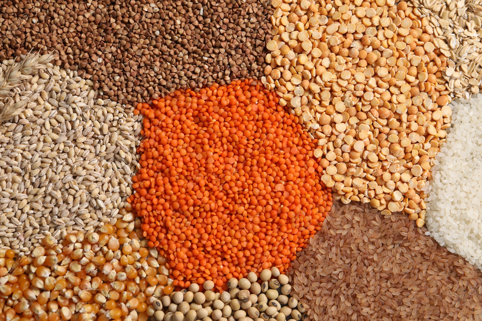 Photo of Different types of legumes and cereals as background, top view