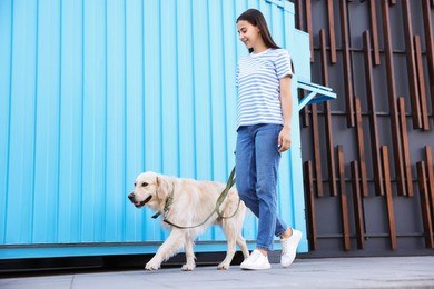 Photo of Happy owner walking with cute Golden Retriever dog outdoors, low angle view