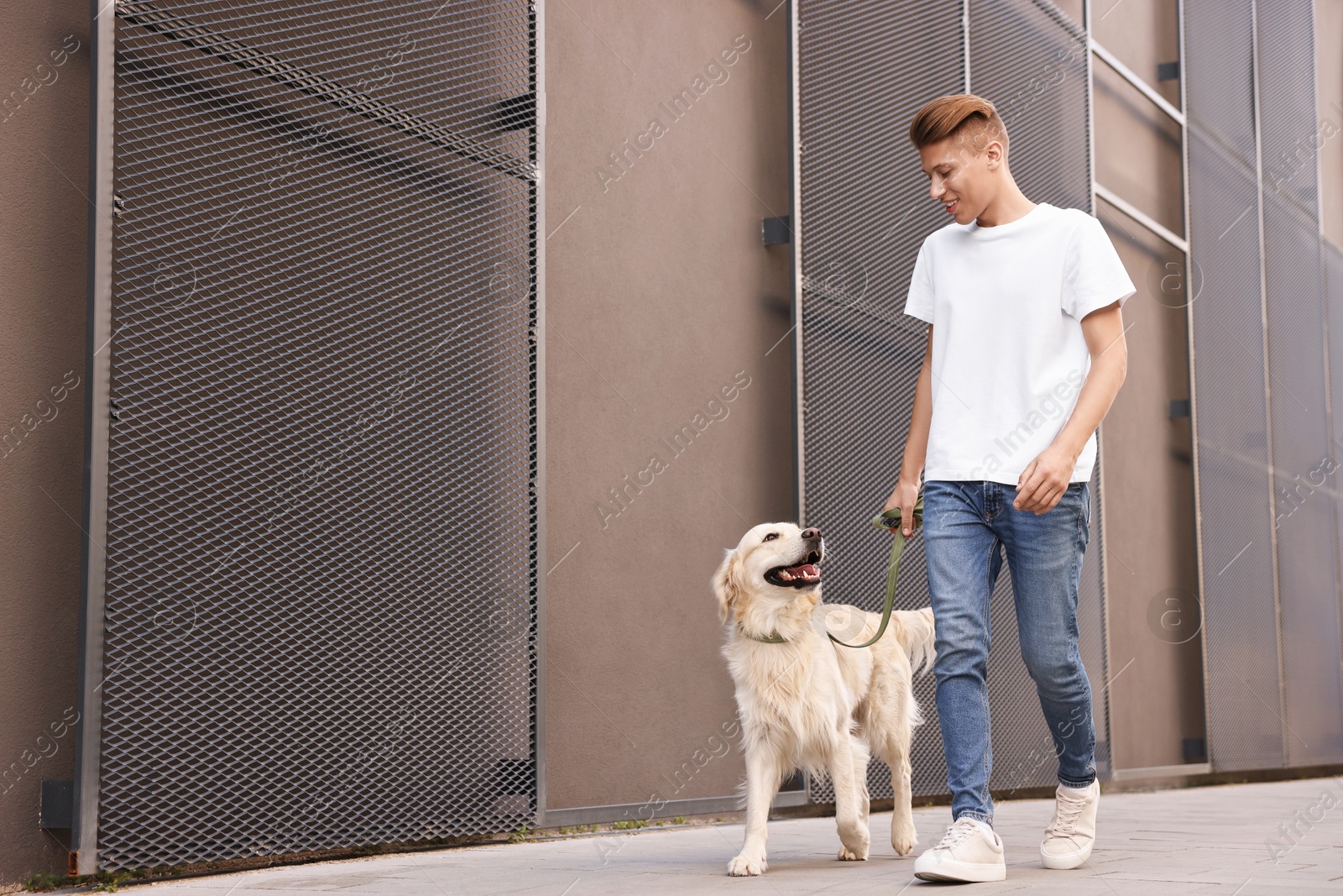 Photo of Happy owner walking with cute Golden Retriever dog outdoors, low angle view. Space for text