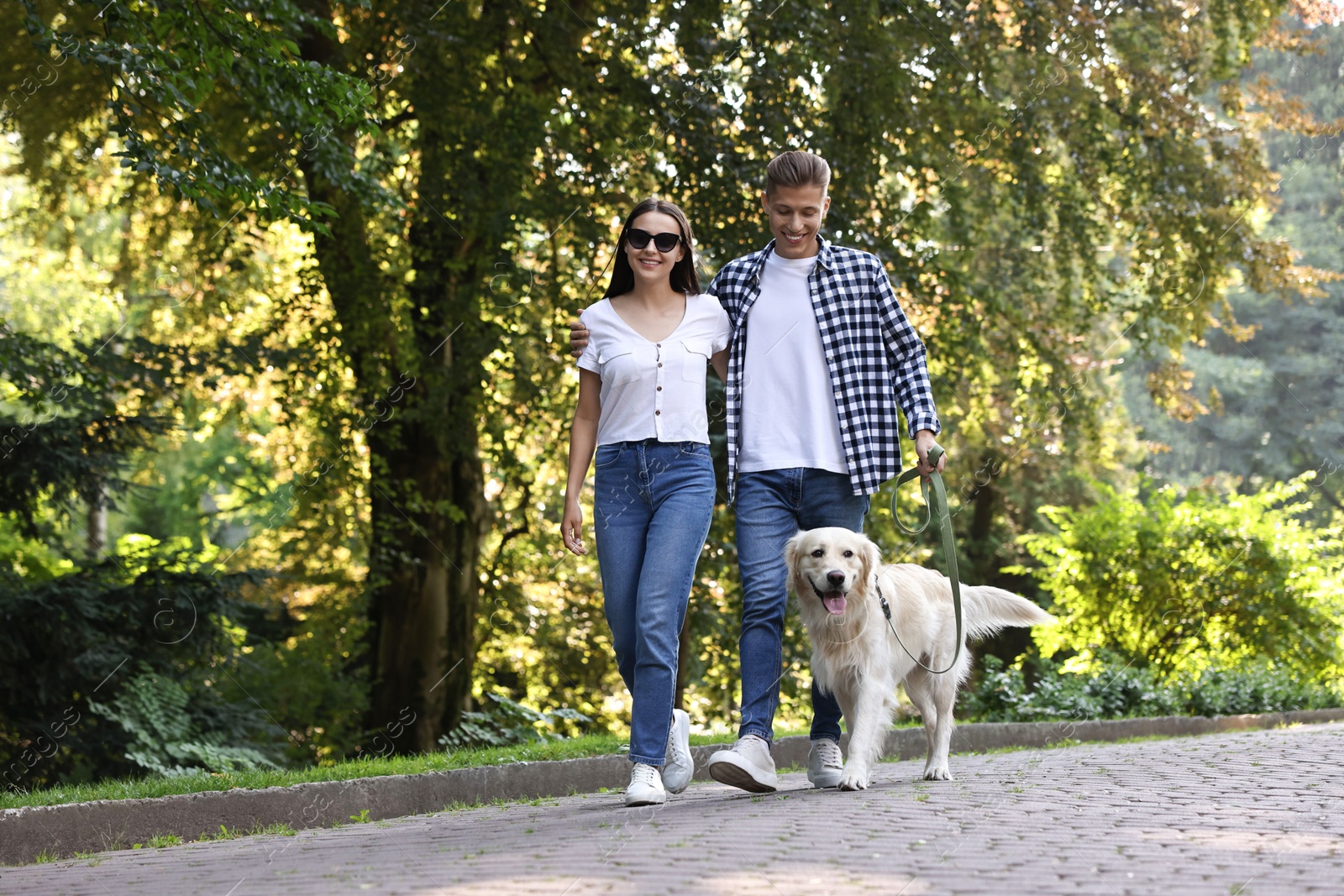 Photo of Happy couple walking with cute Golden Retriever dog in park. Space for text