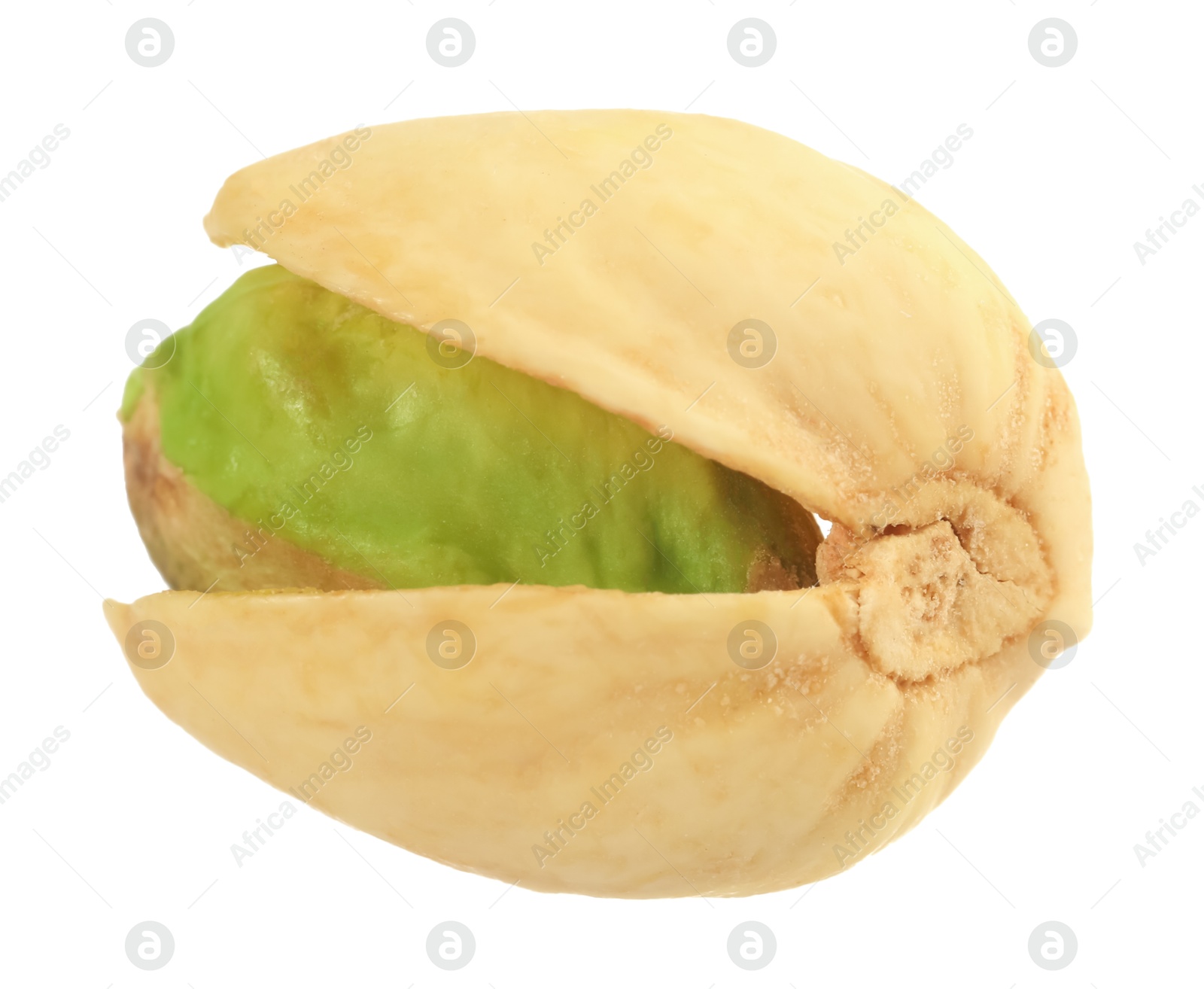 Photo of One tasty pistachio nut isolated on white