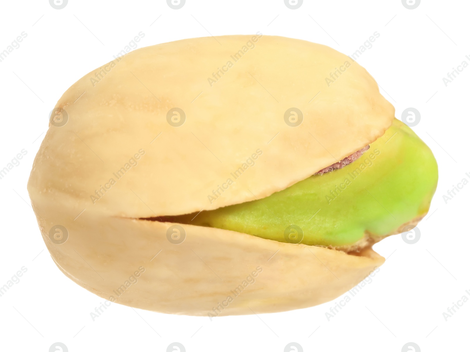 Photo of One tasty pistachio nut isolated on white