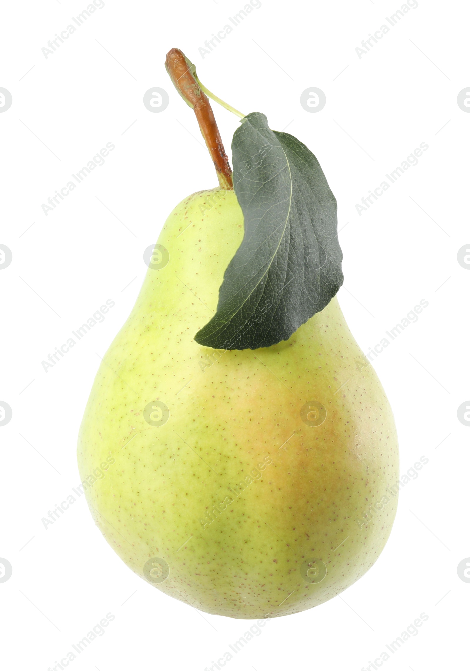 Photo of Fresh ripe pear with green leaf isolated on white