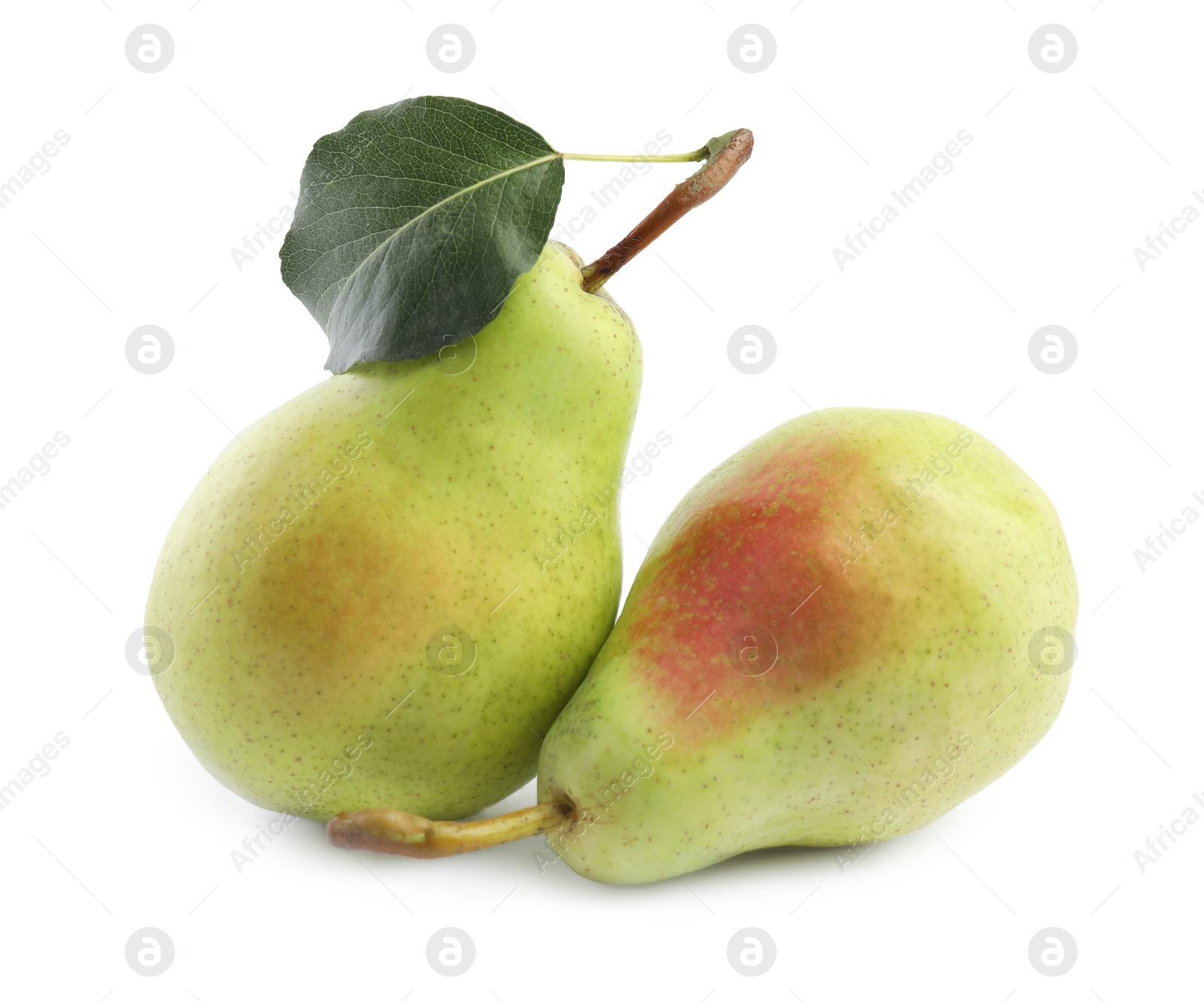 Photo of Fresh ripe pears with green leaf isolated on white