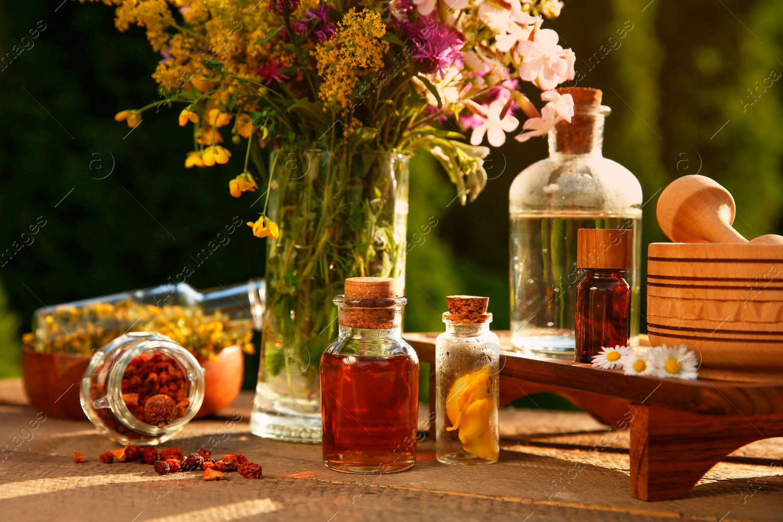 Photo of Different tinctures in bottles, ingredients, mortar and pestle on wooden table outdoors