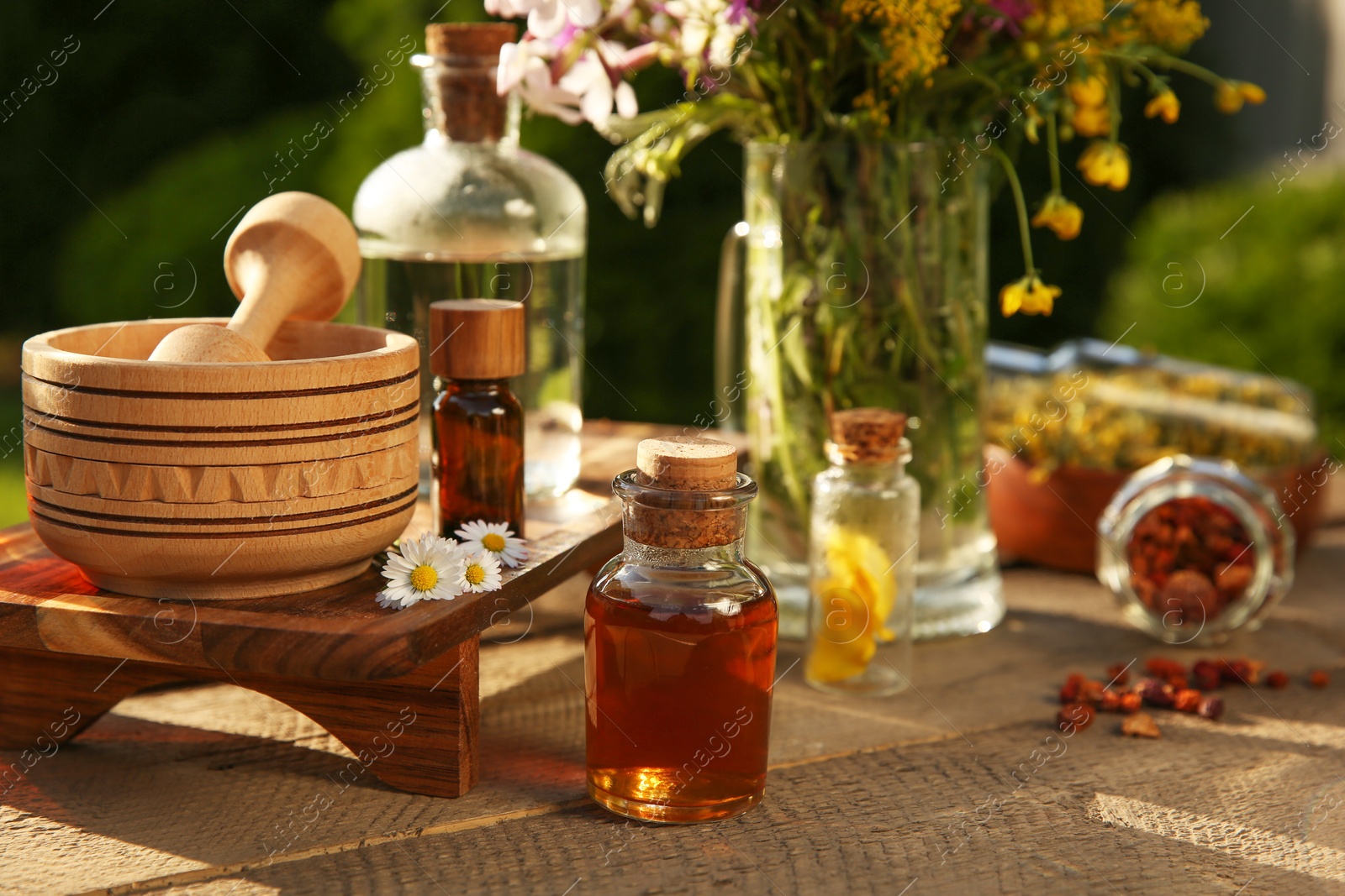 Photo of Tincture in bottles, different ingredients, mortar and pestle on wooden table outdoors